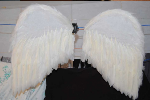Křídla anděla vlastními rukama5