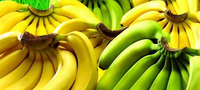 co banány jsou užitečnější než zelená nebo žlutá