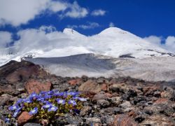 Kavkazské hory Elbrus