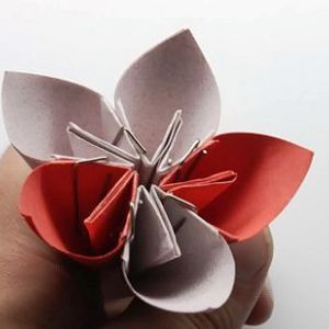 kusudama بأيديهم الخاصة 14