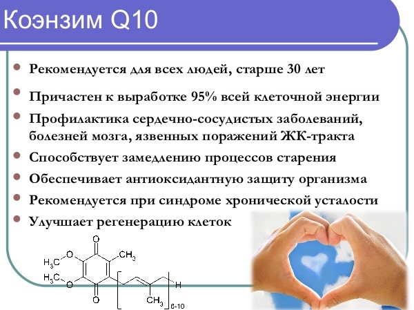 أنزيم q10 فائدة