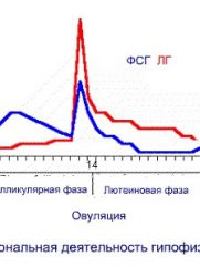 x2与y2的比率