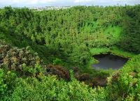 بركان Trou aux Cerf Volcano