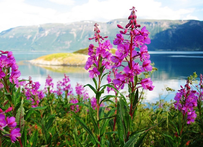 Красотата на Норвегия