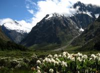 حديقة Fjordland الوطنية