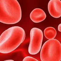 zvýšené červené krvinky v krvi