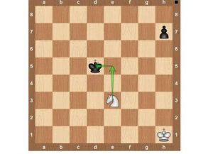 قواعد لعبة chess11