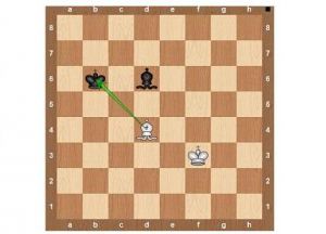 قواعد لعبة chess12