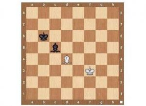 قواعد لعبة chess13