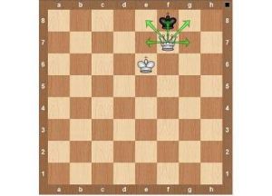 قواعد لعبة chess14
