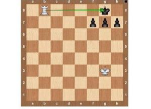 قواعد لعبة chess15
