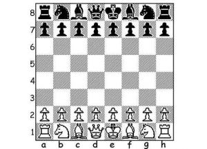 قواعد لعبة chess1