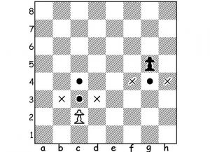 قواعد لعبة chess6