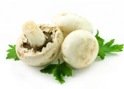 champignons السعرات الحرارية