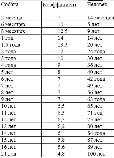 جدول عمر الكلب والرجل