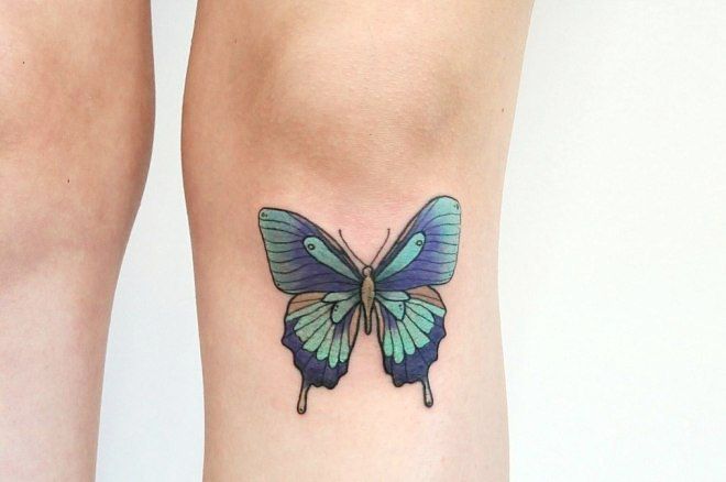 motýl na noze pod kolenem
