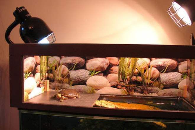 lampy pro terárium pro želvy