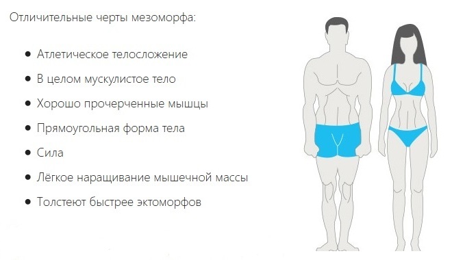 mesomorphic类型的构建