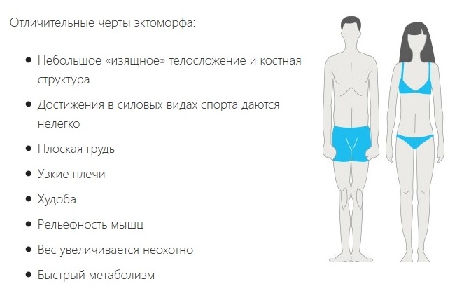 ectomorphic体型