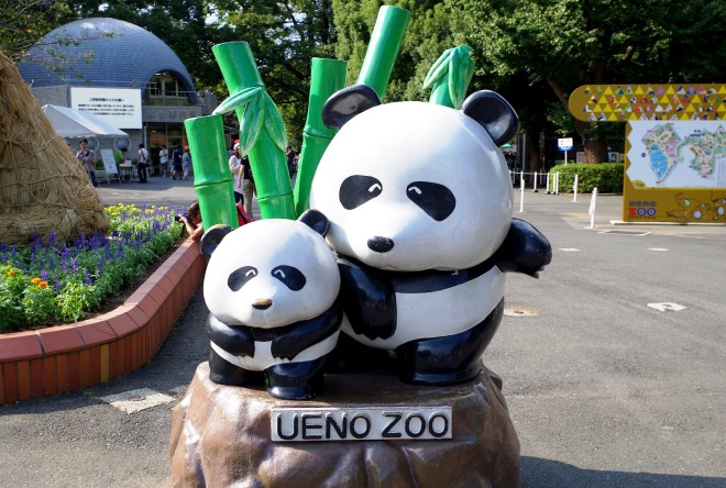 V zoo Ueno
