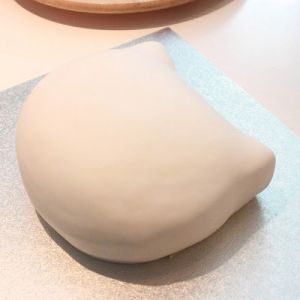 Jak zdobit dort pro dívku s masticí 6