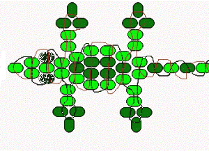 蜥蜴珠 - scheme36