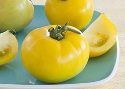 Žluté rajčata 7