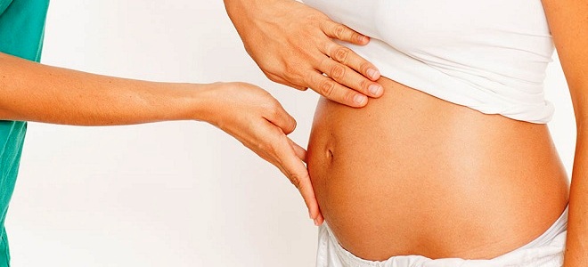 břicho po 15 týdnech těhotenství