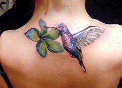 hodnota kolibřík tetování