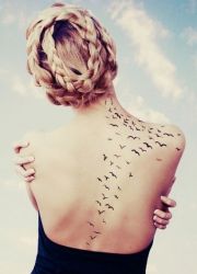 význam tetování ptáků